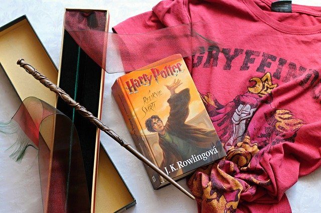 Одежда с символикой факультета - Что подарить фанату Гарри Поттера