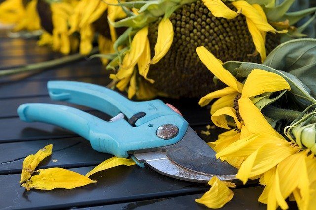 Садовые инструменты - Что подарить цветоводу